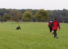 IMG 0633