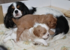 IMG 4521