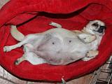 IMG 5881