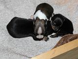 IMG 5895