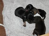 IMG 5898