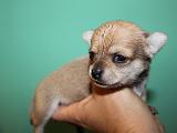 IMG 6160